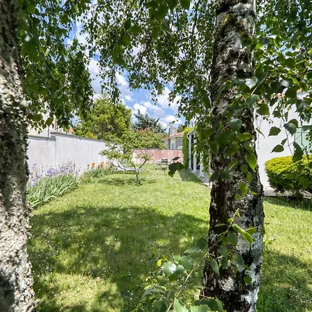 Feriehus Maison Pasteur By Interhome *